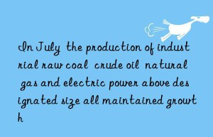 in july  the production of industrial raw coal  crude oil  natural gas and electric power above designated size all maintained growth