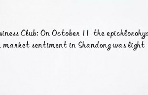 business club: on october 11  the epichlorohydrin market sentiment in shandong was light