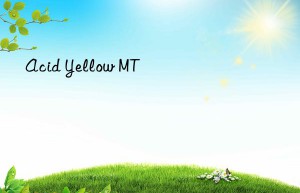 acid yellow mt