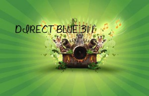 direct blue 311