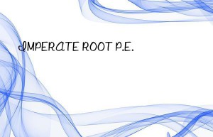 imperate root p.e.