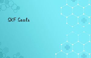 skf seals