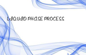 liquid phase process