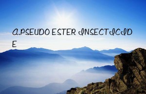 a.pseudo ester insecticide