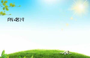 pn 4819