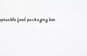 disposable food packaging box