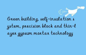 green building, self-insulation system, precision block and thin-layer gypsum mortar technology