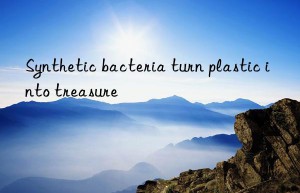 synthetic bacteria turn plastic into treasure