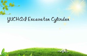 yuchai excavator cylinder