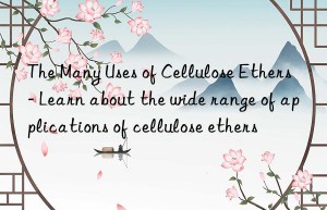 the many uses of cellulose ethers – learn about the wide range of applications of cellulose ethers
