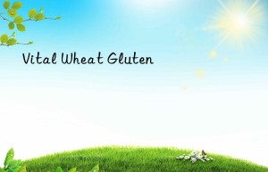 vital wheat gluten