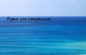 puma air compressor