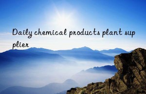 daily chemical products plant supplier