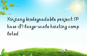 xinjiang biodegradable project (phase i) large-scale hoisting completed