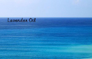 lavender oil