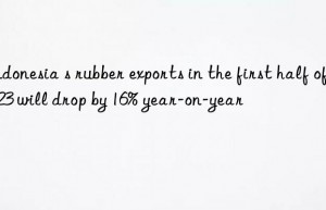 indonesia s rubber exports in the first half of 2023 will drop by 16% year-on-year