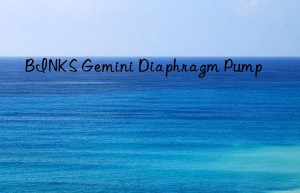 binks gemini diaphragm pump