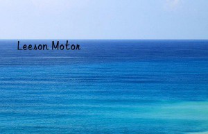 leeson motor