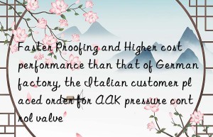 faster proofing and higher cost performance than that of german factory, the italian customer placed order for aak pressure control valve
