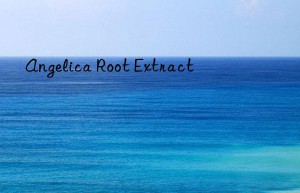 angelica root extract