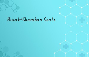 busak+shamban seals