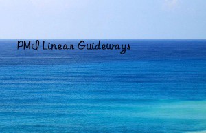 pmi linear guideways