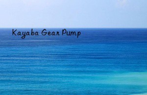 kayaba gear pump