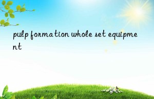 pulp formation whole set equipment