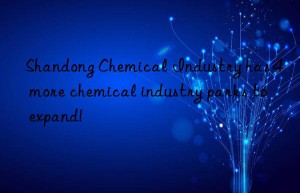 shandong chemical industry has 4 more chemical industry parks to expand!