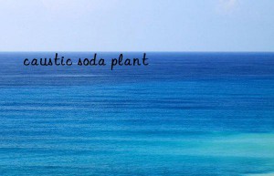 caustic soda plant