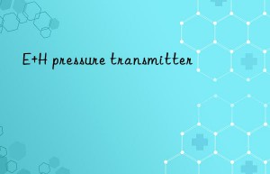 e+h pressure transmitter