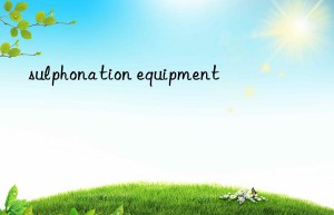 sulphonation equipment