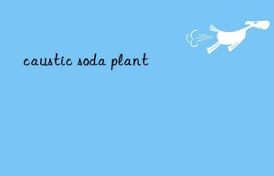 caustic soda plant