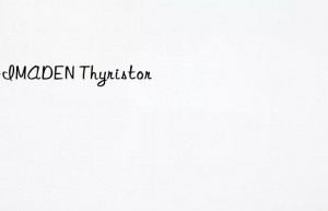 shimaden thyristor