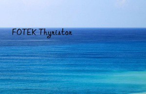 fotek thyristor