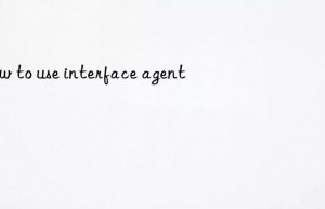 how to use interface agent