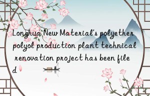 longhua new material’s polyether polyol production plant technical renovation project has been filed