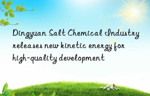 dingyuan salt chemical industry releases new kinetic energy for high-quality development