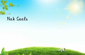 nak seals