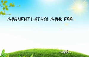 pigment lithol pink fbb