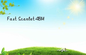 fast scarlet 4bm