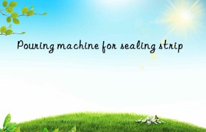 pouring machine for sealing strip
