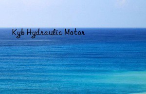 kyb hydraulic motor