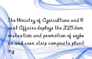 the ministry of agriculture and rural affairs deploys the 2023 demonstration and promotion of soybean and corn strip composite planting