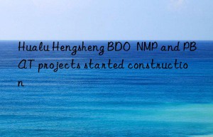 hualu hengsheng bdo  nmp and pbat projects started construction