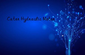 cater hydraulic motor