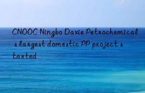 cnooc ningbo daxie petrochemical s largest domestic pp project started
