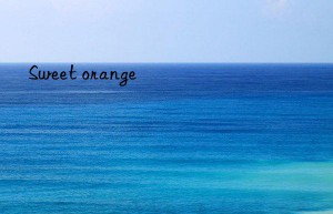 sweet orange