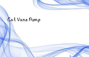 cat vane pump
