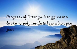 progress of guangxi hengyi caprolactam-polyamide integration project